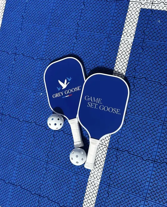 Two navy Grey Goose branded pickleball paddles with printed balls on a blue court